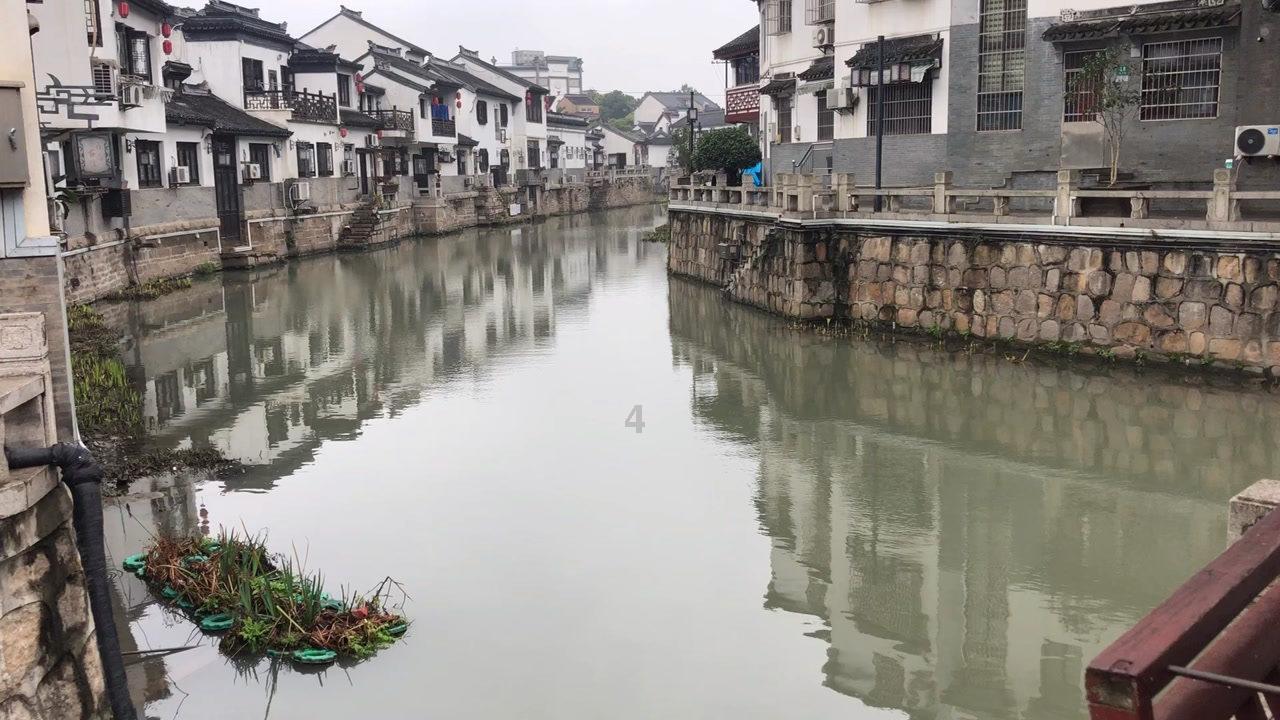 9个生猪养殖户获赔超300万元!唐山市“保险+期货”模式守护居民“肉案子”