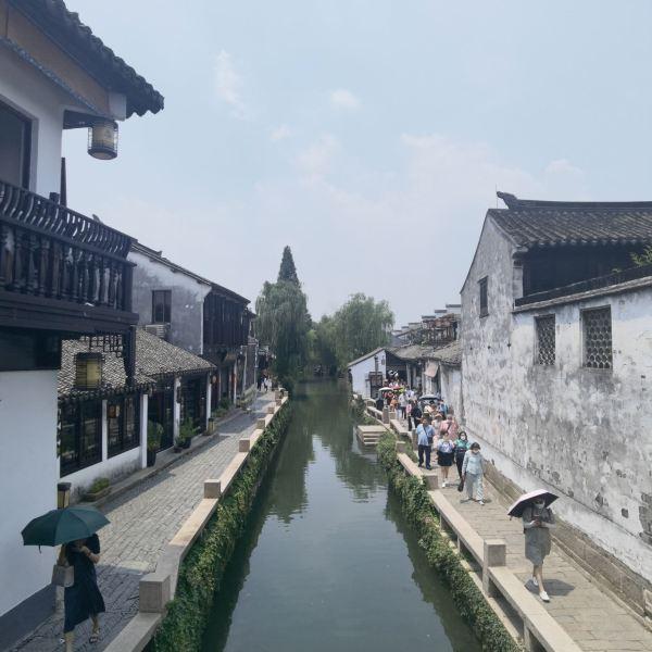 口袋森林世界杯防守战