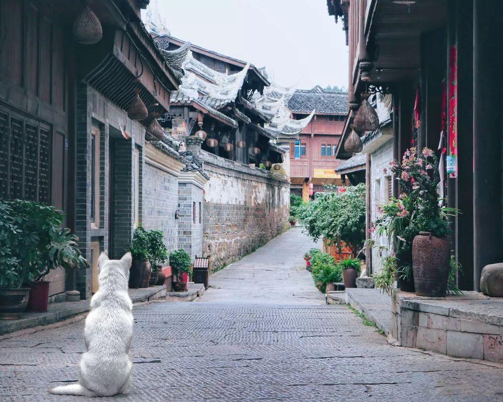 国家地理探险失落之城