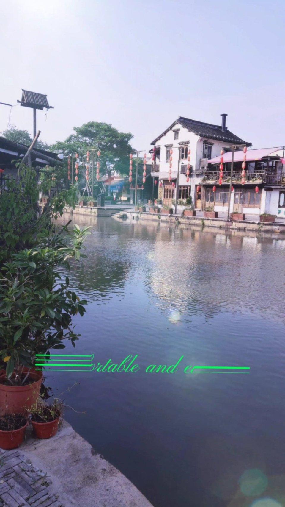 淘气兔救援