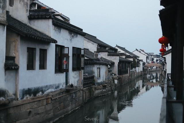 救援海盗章鱼