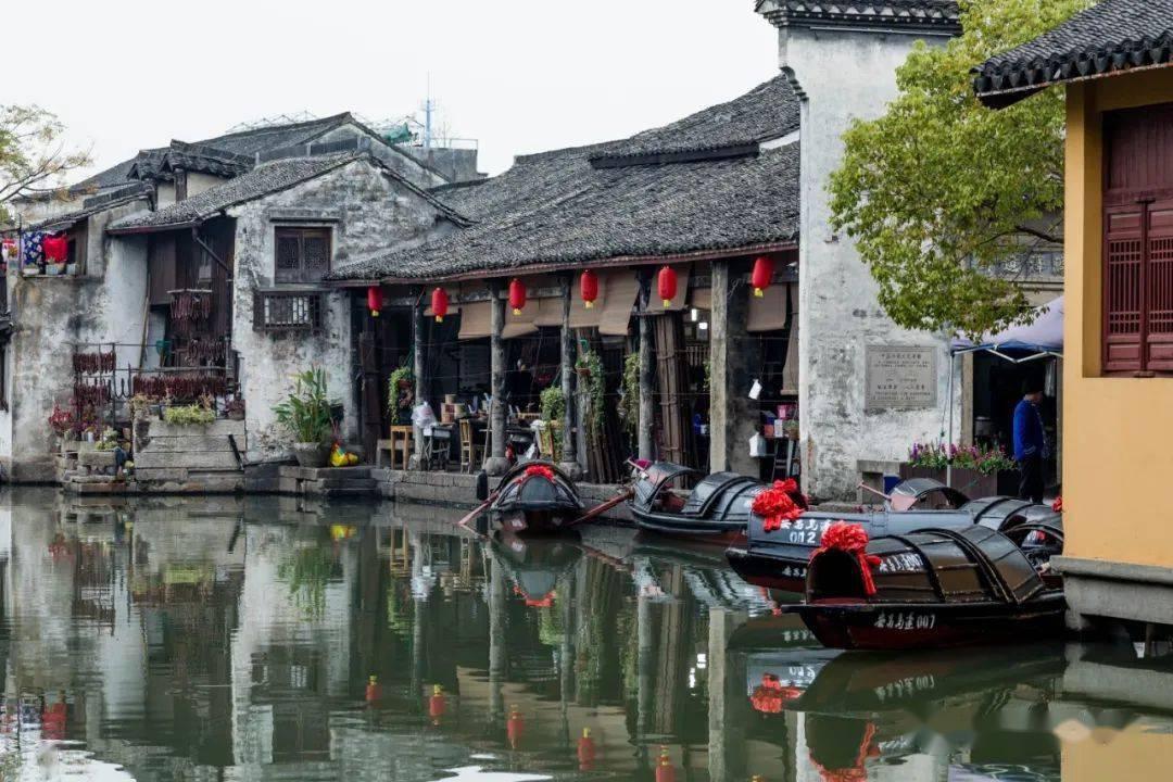 植物大战僵尸19