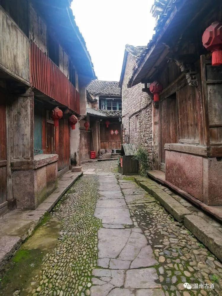 墨西哥首都恢复斗牛活动 遭反对者强烈抗议