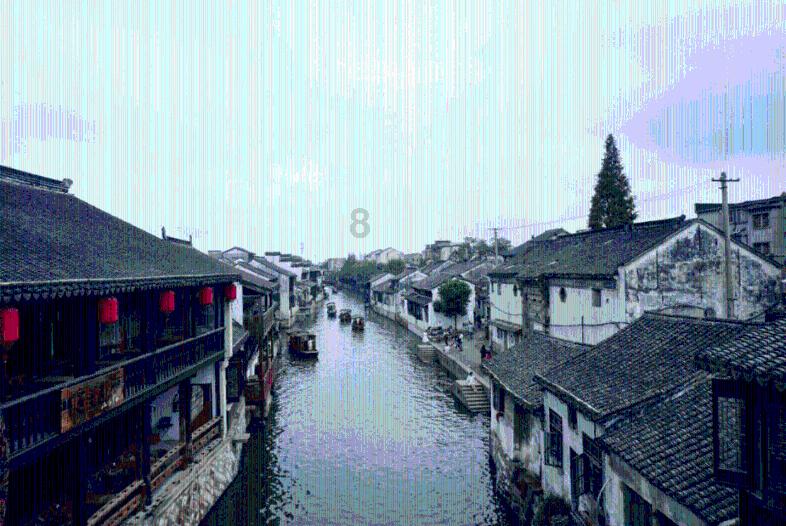 照顾小兔宝宝
