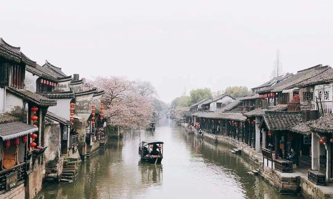 大山羔羊逃生