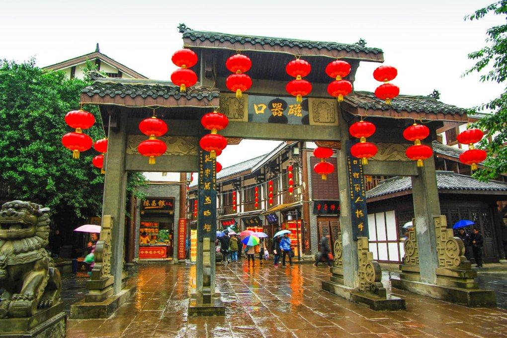 救援大嘴鸟