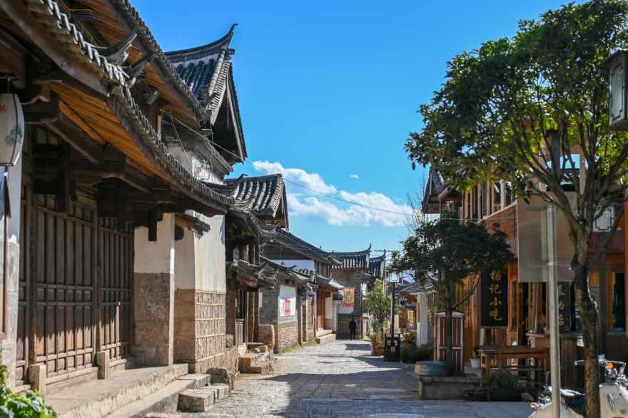 救援瓢虫宝宝