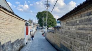 袁隆平的历史地位怎么评价？游戏画面