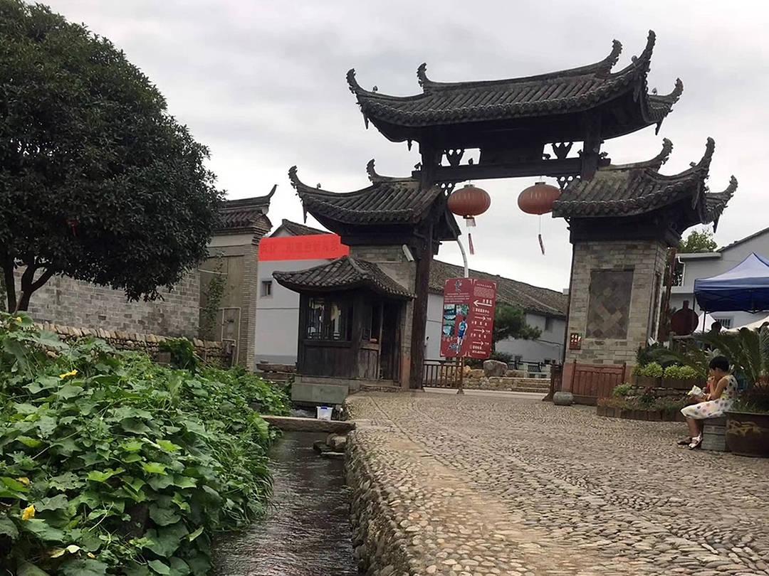 春雨直播app