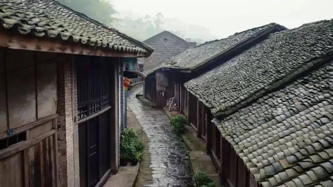 看门狗2