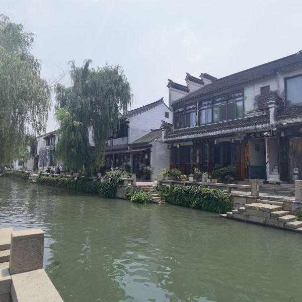 动物帮帮忙保卫家园