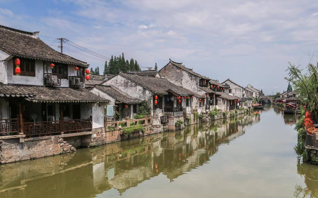 动物帮帮忙保卫家园
