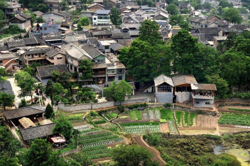 贪吃鼠吃豆豆