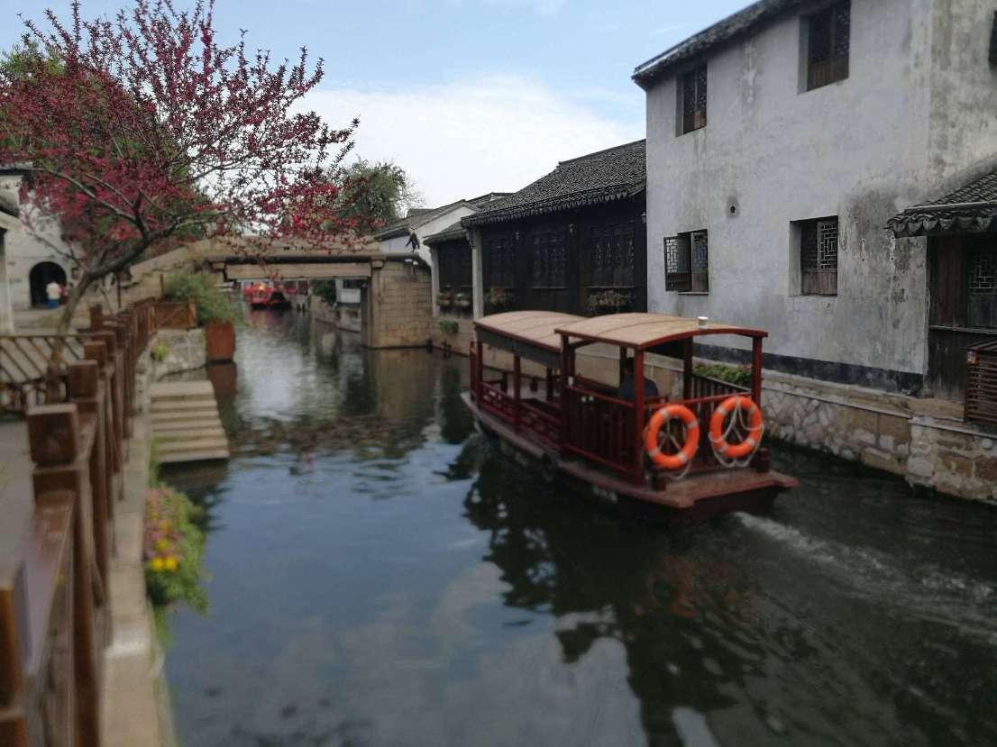 逃离白鸽之森