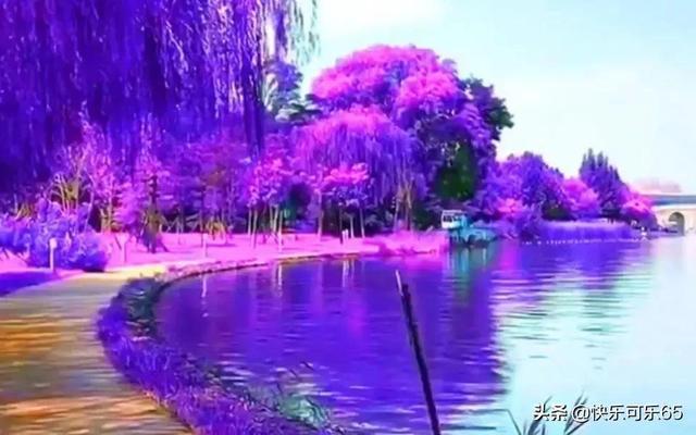 拯救精灵的土地10
