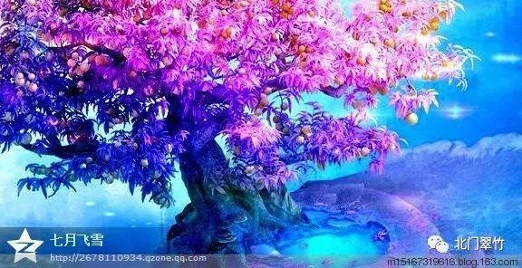 动物帮帮忙保卫家园