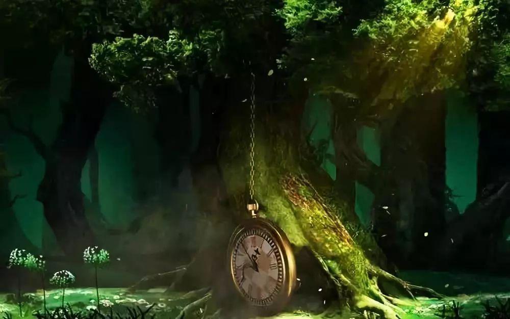 了解怎么才能保护好我的牙齿,最新动态的红迪网平台