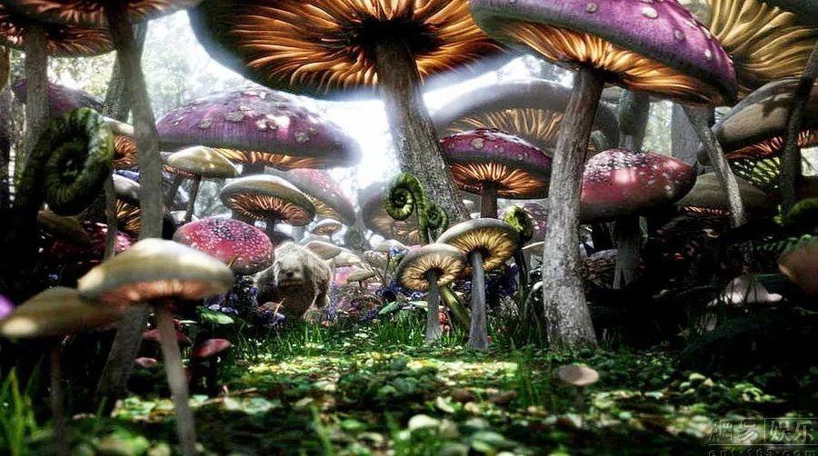 穿重要还是脸好看重要?-专业的有问必答平台